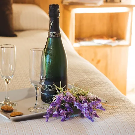 Mas Rabiol -emporda-only Adults-eco 3*