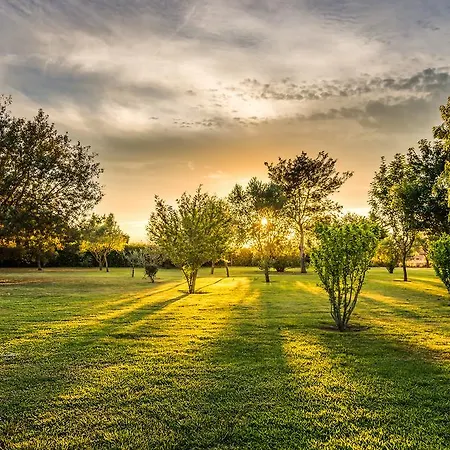 Hotel Mas Rabiol -emporda-only Adults-eco 3*