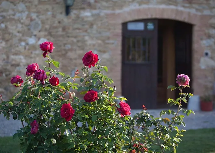 Mas Rabiol -emporda-only Adults-eco 3* Ператальяда