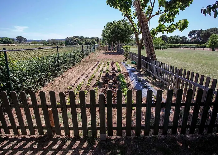 Mas Rabiol -emporda-only Adults-eco Отель 3*
